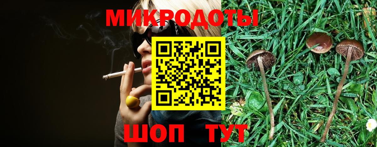 Галлюциногенные грибы мухоморы  Вход с VPN  Камень-на-Оби 